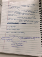 Week 14 Notes 