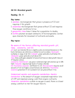 BIO 3140 Microbiology for Health Professions- Ch. 4 Microbial Growth