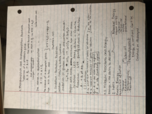 Princ. of Hum. Phys.: Chapter 3