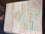 Week 2 - Chapter 17 Notes - Diversity of American Colonial Societies