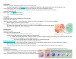 Bio 252 Week 2 notes