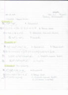 Factoring Polynomials