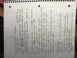 American History Class Notes 