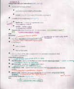 AP Chapter 5