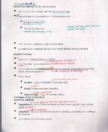 AP Chapter 6b