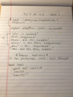 The 5 W's Vid Week 2: 201