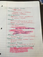 CHEM1211 EXAM 1