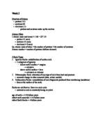 Week 2 Notes