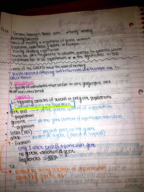 Hardy Weinberg Notes 