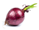 Test Upload 
