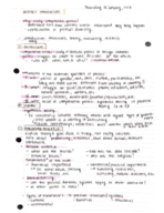 Intro to Comparative Politics, Lecture 1