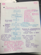 Anatomy and Physiology 