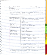humanities class notes 3 