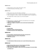 TheUrinarySystem_Chapter24