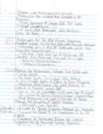 Chapter 23: Prokaryotes And Viruses