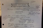 Week 1 Class 1 Notes