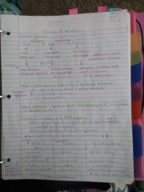 Bio 351
