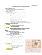PSYC 3122: Lecture 3: Introduction to Cognitive Neuroscience (1/23/18)