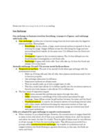 Notes over chapter 22: Gas Exchange