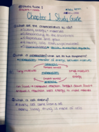 Chapter 1 Notes
