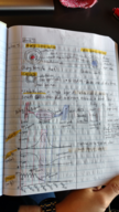 BILD 2 week 3 notes