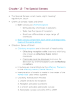 The Special Sentences 