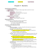 Chapter 4 notes