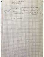 Week 3 Case Studies