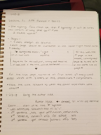 conducting psychological research in writing a title page in apa format