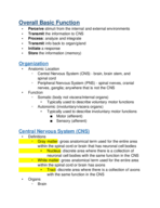 Anatomy Week 2 Notes 
