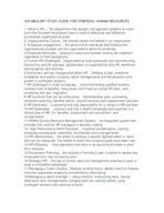 vocabulary study guide