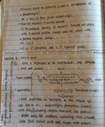 Notes, Week 3