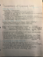 Fundamentals of Criminal Law Introduction 