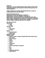 Lab Practical One Review 