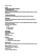 Bio 20A Week 2 Notes