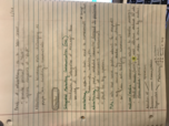 ADV - Week 1 Class Notes