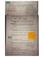 LIFE 201B, Week 2 Notes
