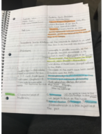 Week 3 Notes