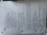 Week 2 notes 