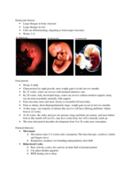 Infant and Child Development Week 2 Notes