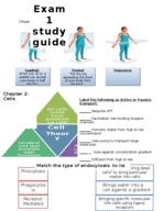 Exam 1 study guide part 1 