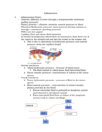Inflammation notes 