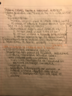 Federal crimes and criminal law