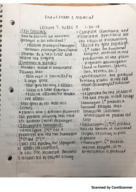 BIOL 111 Lecture 7, Week 4 