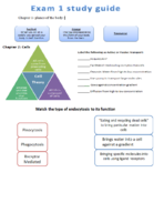 Exam 1 study guide Chapter 1-4