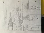 PSY252 week 3 notes
