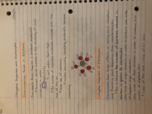 Chemistry 2 Notes Week 4