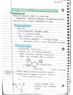 Bio Foundations Week 2