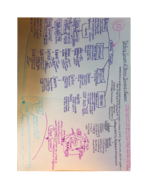 Study Guide—Mind Maps—BIOL 1040, week 5