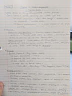 Music History 2 Weeks 2-3